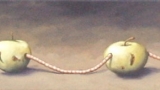 heinrichderapfelwurm