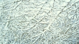 schnee